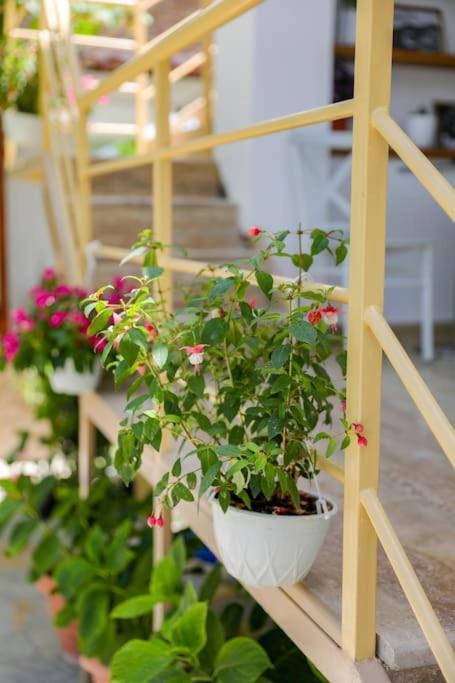 Cereni Guesthouse 베라트 외부 사진
