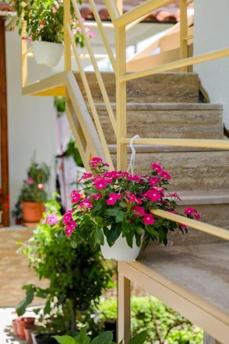 Cereni Guesthouse 베라트 외부 사진
